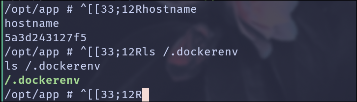 .dockerenv and hostname