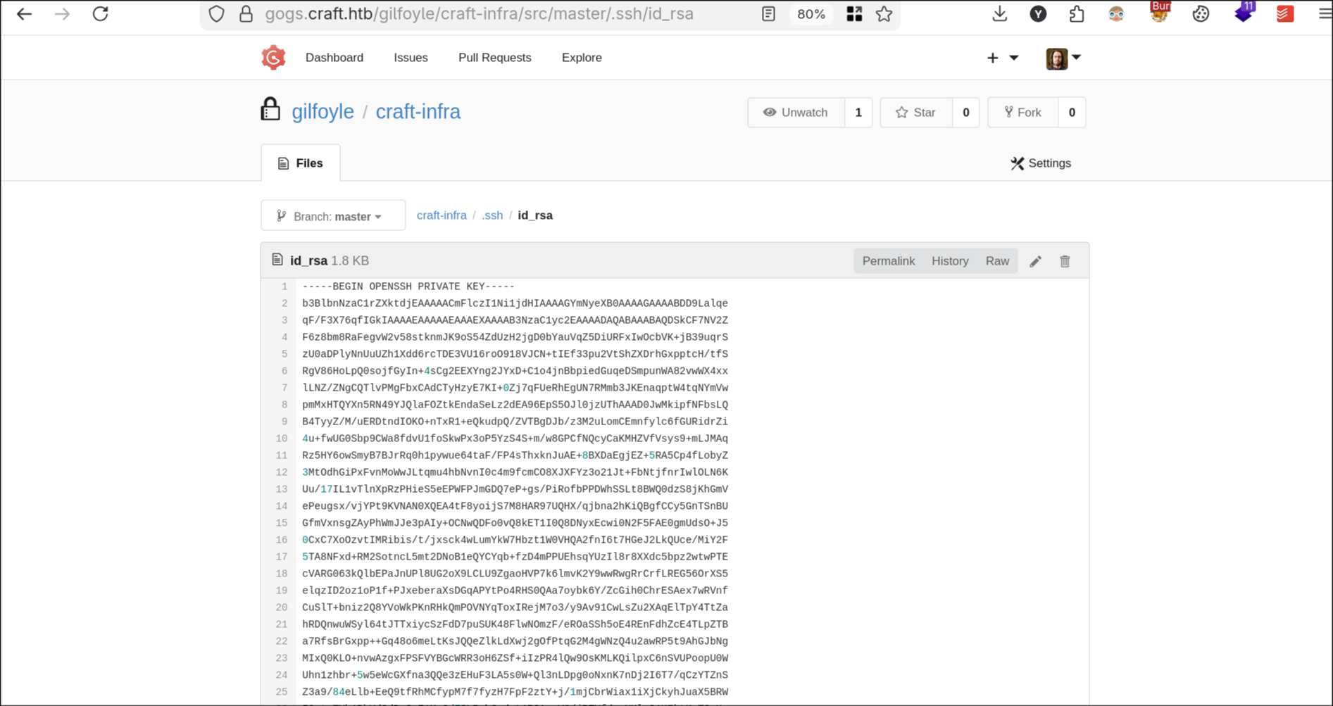 SSH keys in repo