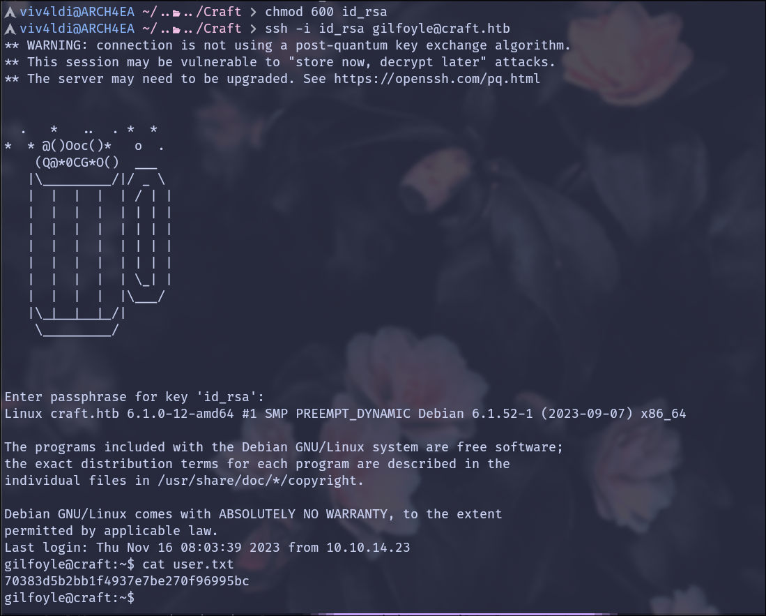 SSH as Gilfoyle and user flag