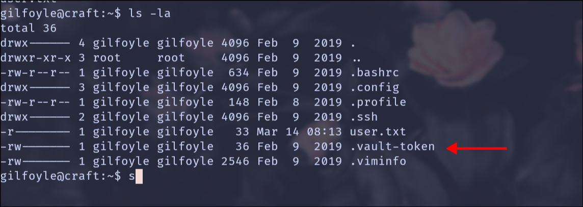 .vault-token file